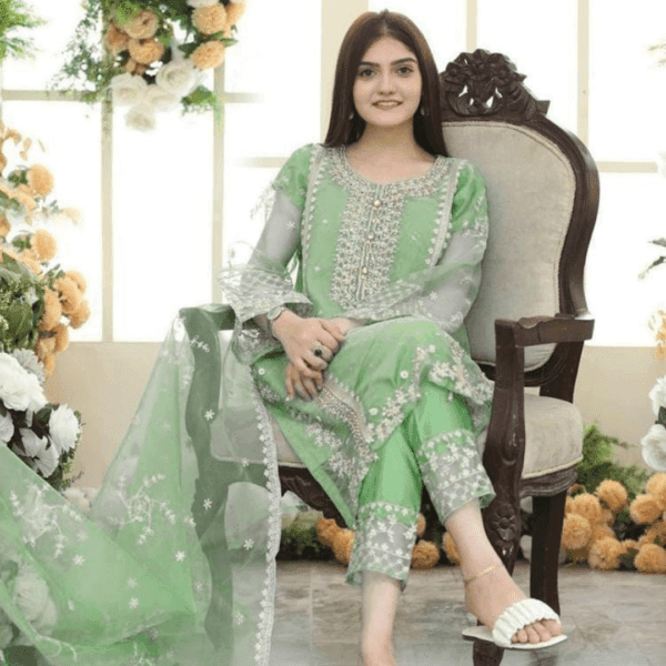 3 Pcs Women's Stitched Organza Embroidered Suit