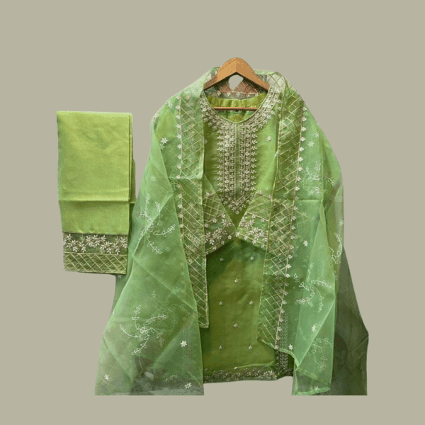 3 Pcs Women's Stitched Organza Embroidered Suit - Image 2