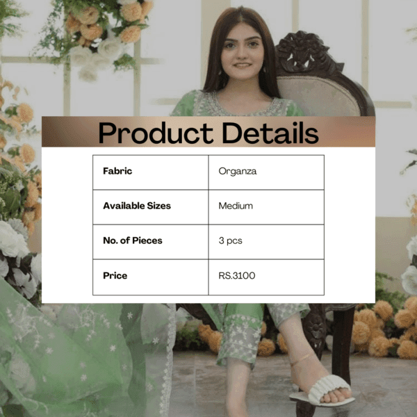 3 Pcs Women's Stitched Organza Embroidered Suit - Image 3