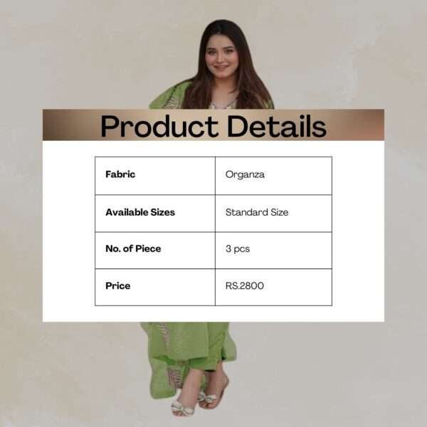 Elegant Green Organza Embroidered Suit - Image 3